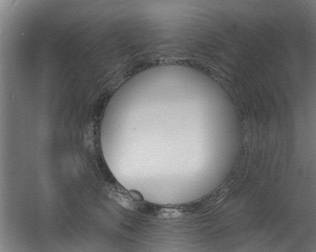 X0000060790519200511101037