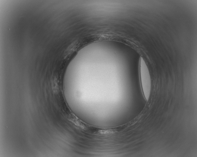 X0000060790520200511101037