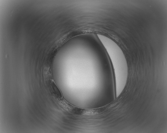 X0000060790521200511101037