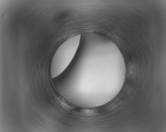 X0000060790522200511101037