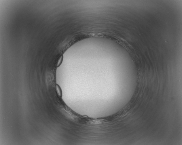 X0000060790523200511101037