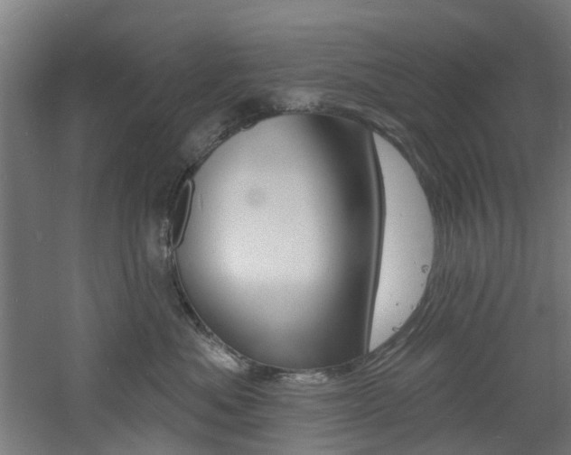 X0000060790525200511101037