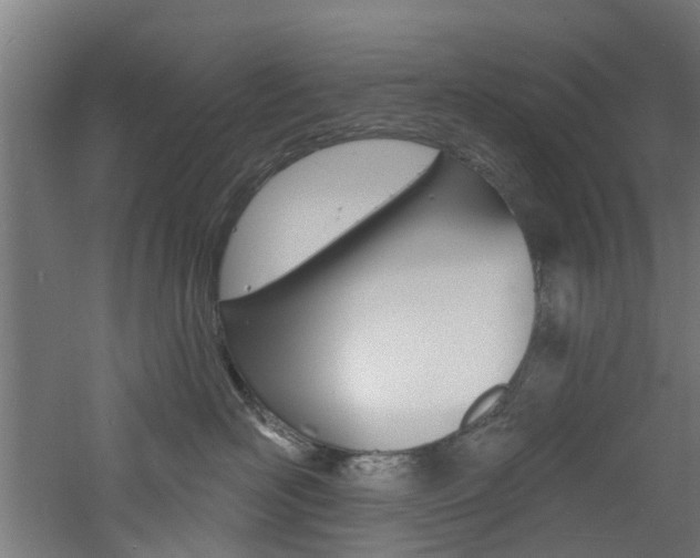 X0000060790526200511101037