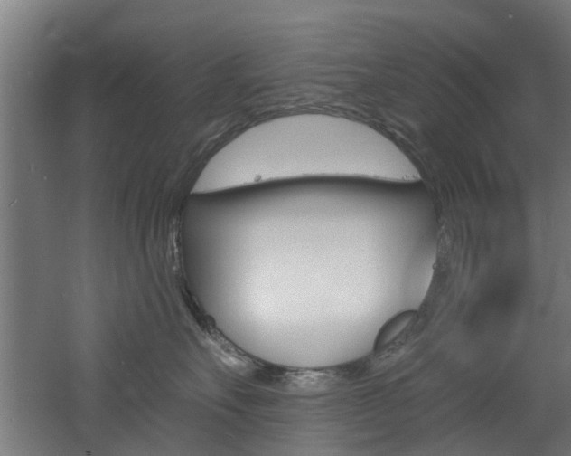 X0000060790527200511101037