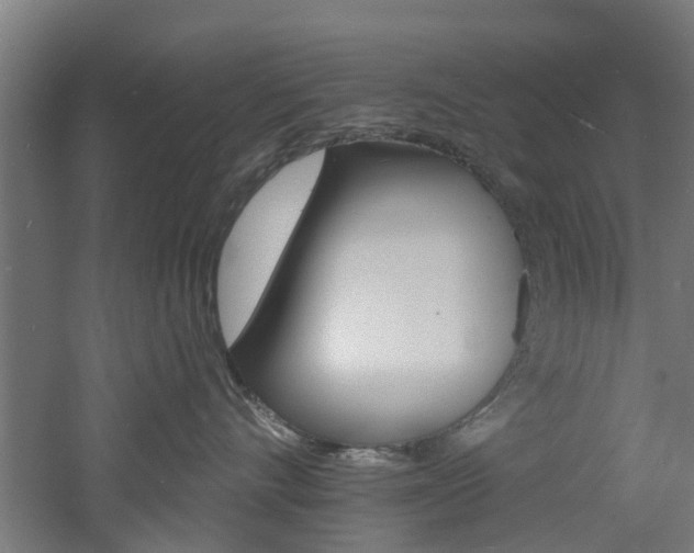 X0000060790528200511101037