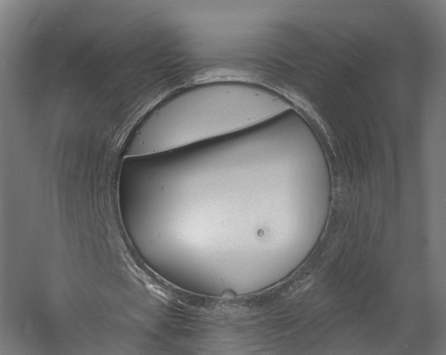 X0000060790529200511101036