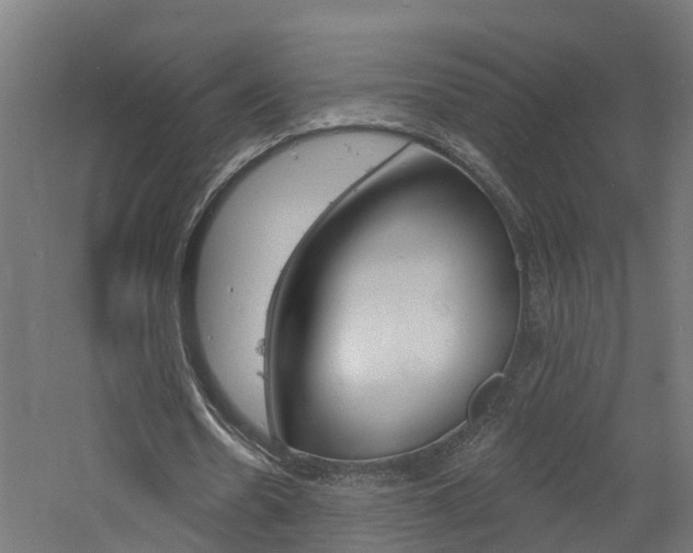 X0000060790530200511101036