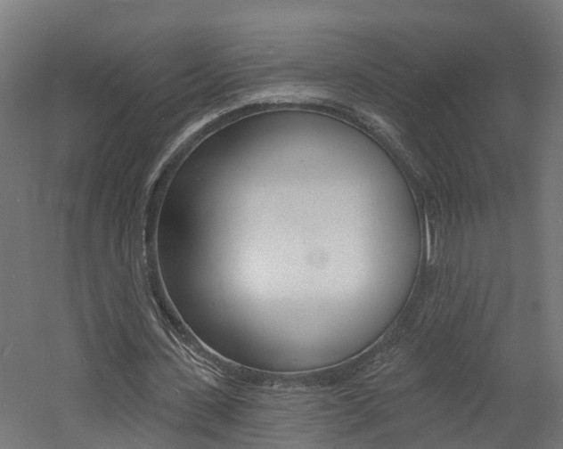 X0000060790531200511101036