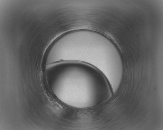 X0000060790532200511101036