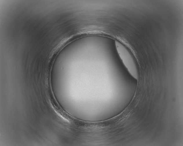 X0000060790533200511101036