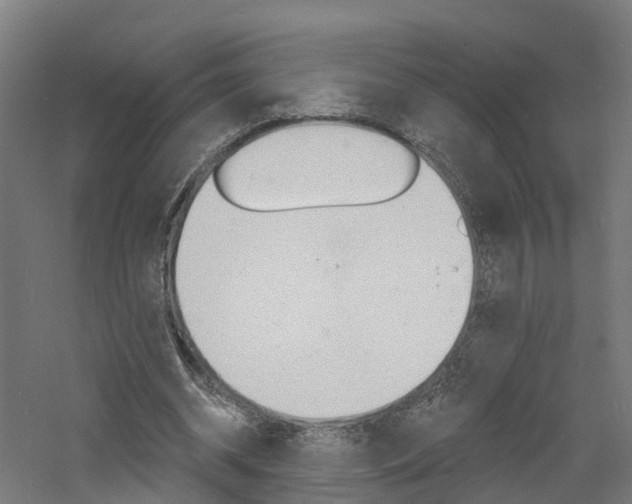 X0000060790534200511101037