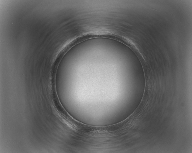 X0000060790535200511101037