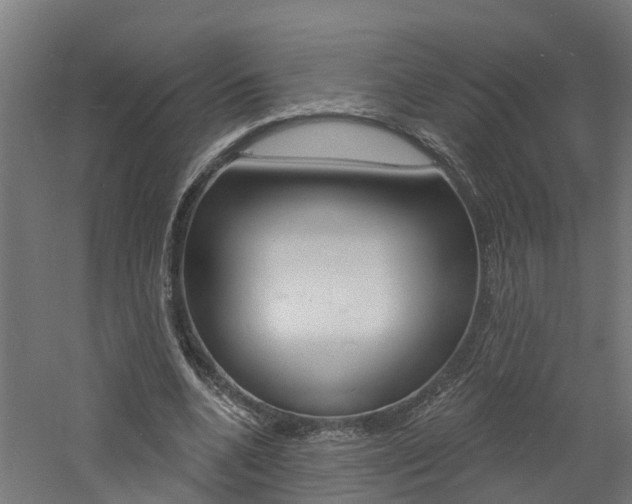 X0000060790536200511101037