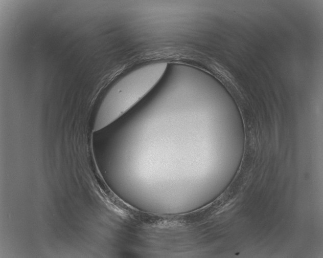 X0000060790537200511101037