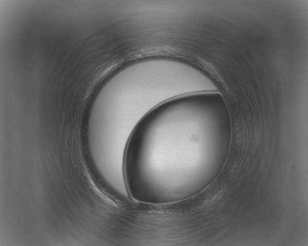 X0000060790538200511101037