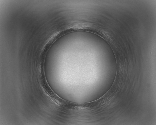 X0000060790539200511101037