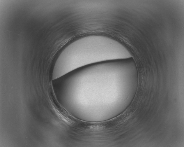 X0000060790541200511101037