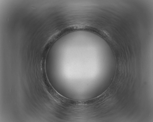 X0000060790543200511101037