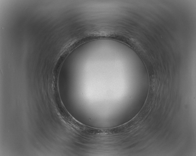 X0000060790544200511101037