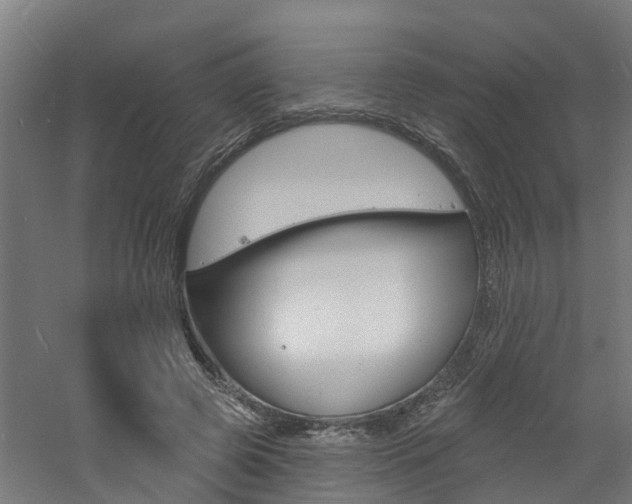 X0000060790545200511101037