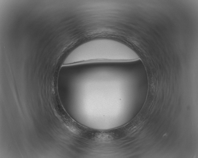 X0000060790547200511101037