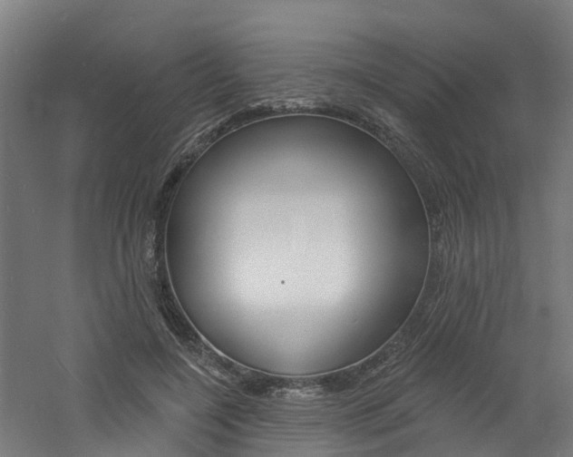 X0000060790548200511101037