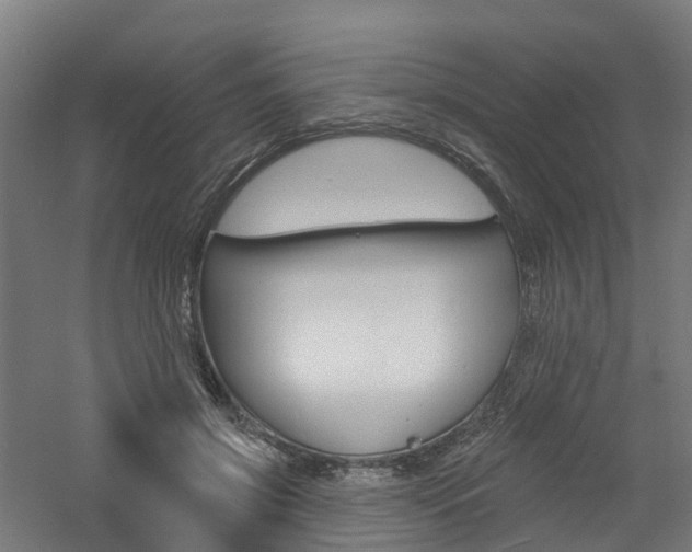 X0000060790549200511101037