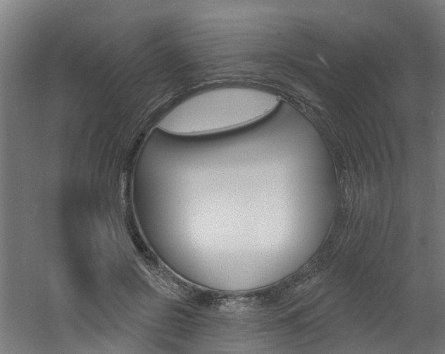 X0000060790550200511101037