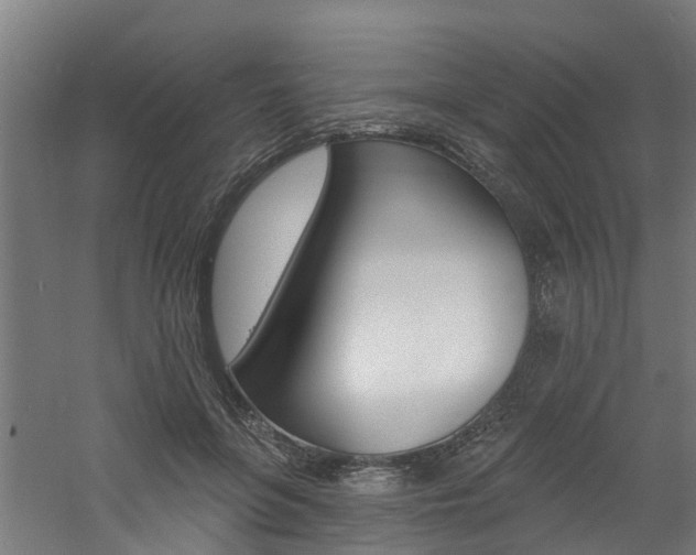 X0000060790551200511101037