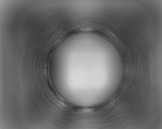 X0000060790553200511101037