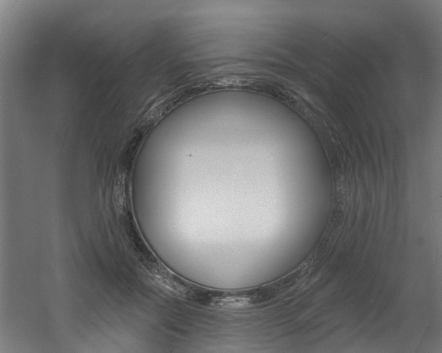 X0000060790554200511101037