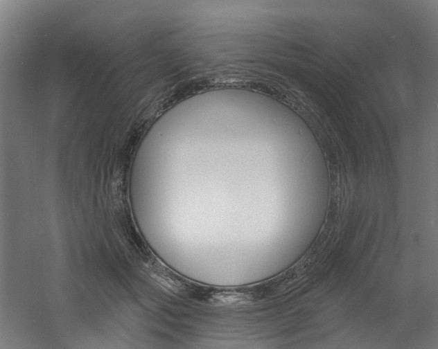 X0000060790557200511101037