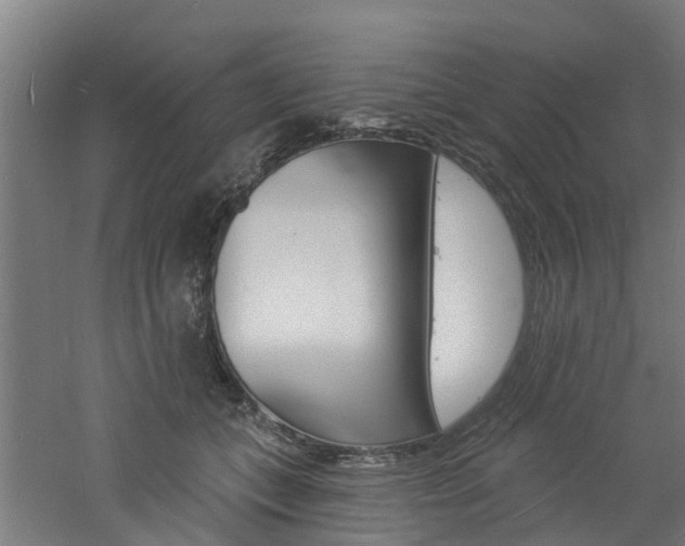 X0000060790559200511101037