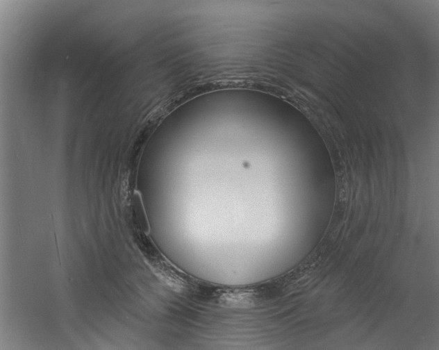 X0000060790560200511101037