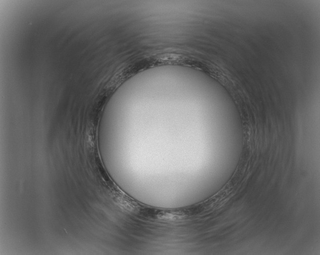 X0000060790561200511101037