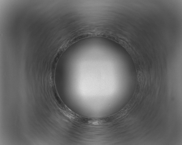 X0000060790564200511101037