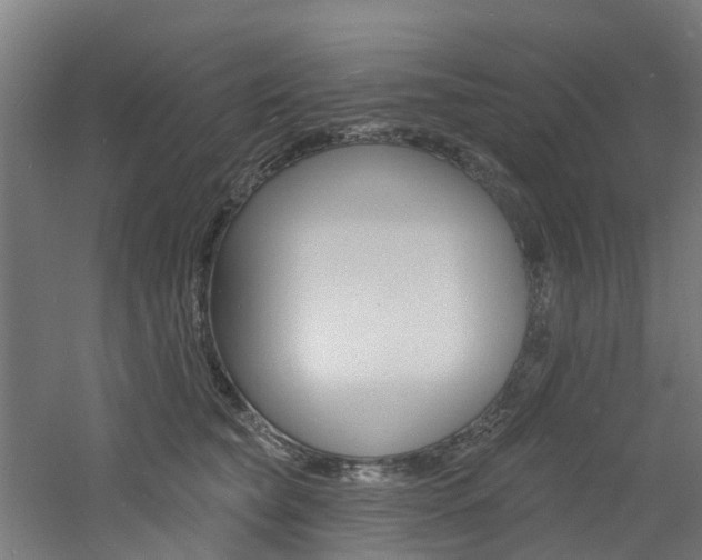 X0000060790565200511101037