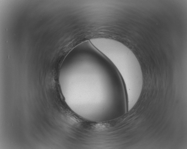 X0000060790566200511101037