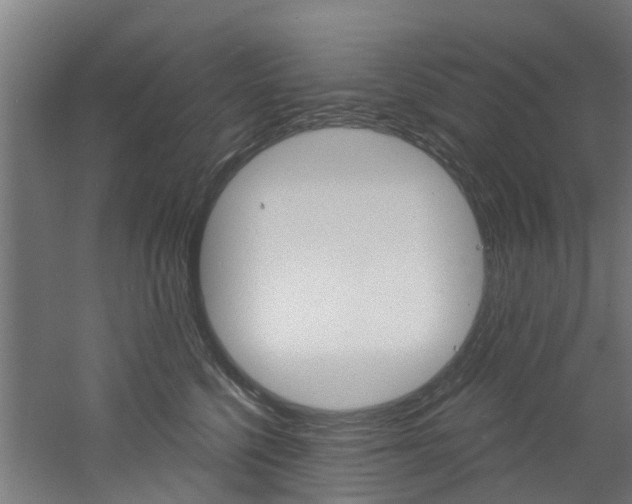 X0000060790568200511101037