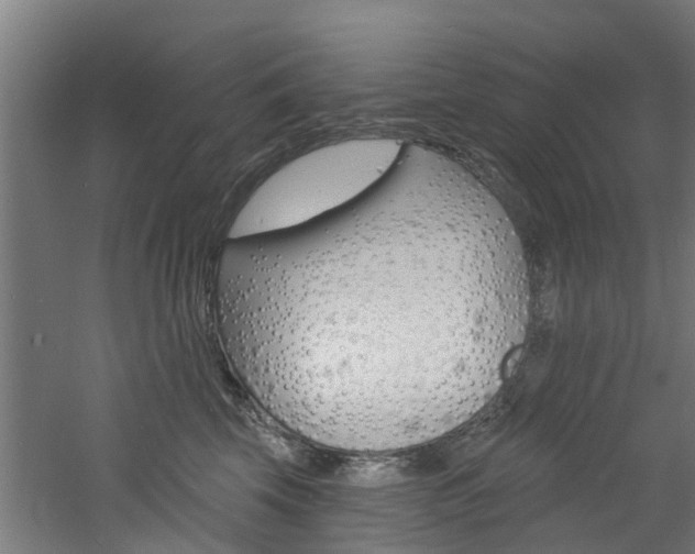 X0000060790569200511101037