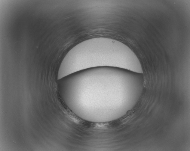 X0000060790573200511101037