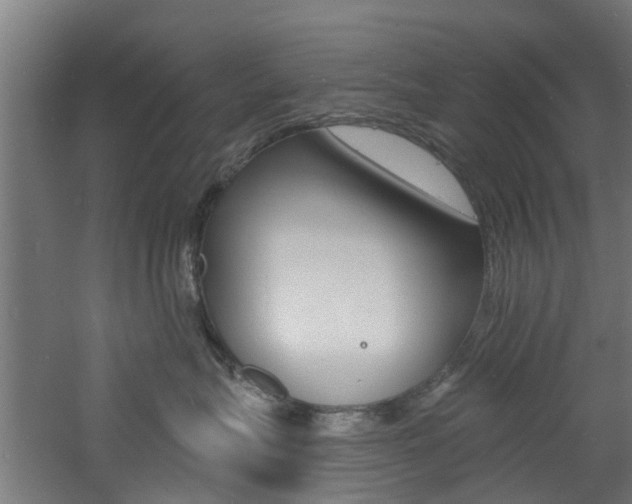 X0000060790575200511101037