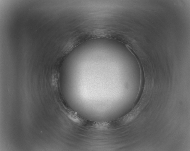 X0000060790576200511101037