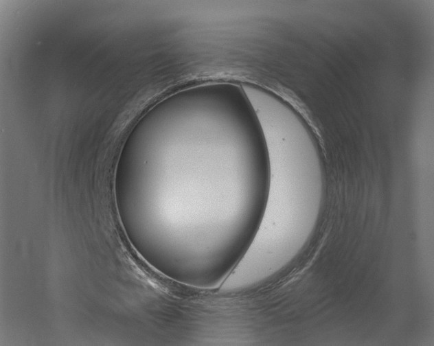 X0000060790577200511101036