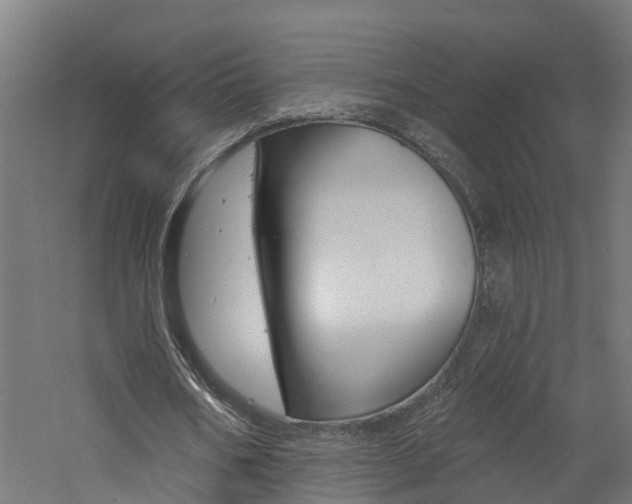 X0000060790578200511101036