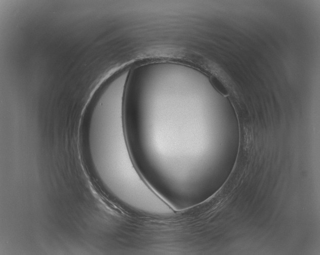 X0000060790580200511101036