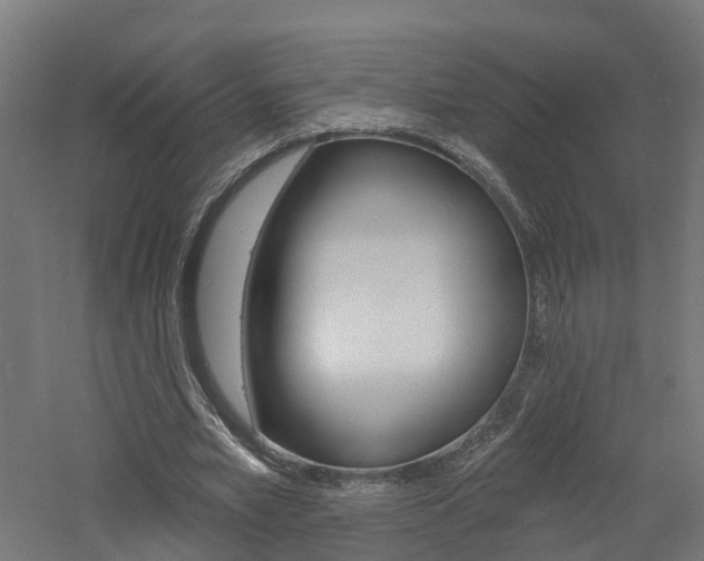 X0000060790581200511101036