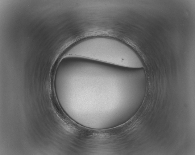 X0000060790582200511101036