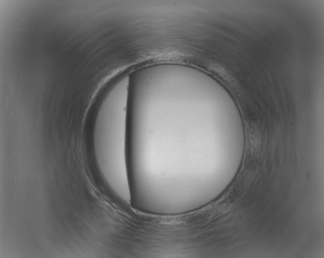 X0000060790583200511101036