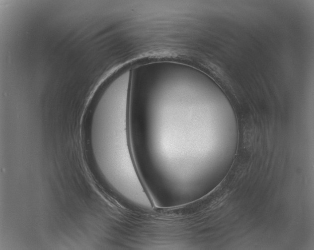 X0000060790584200511101036